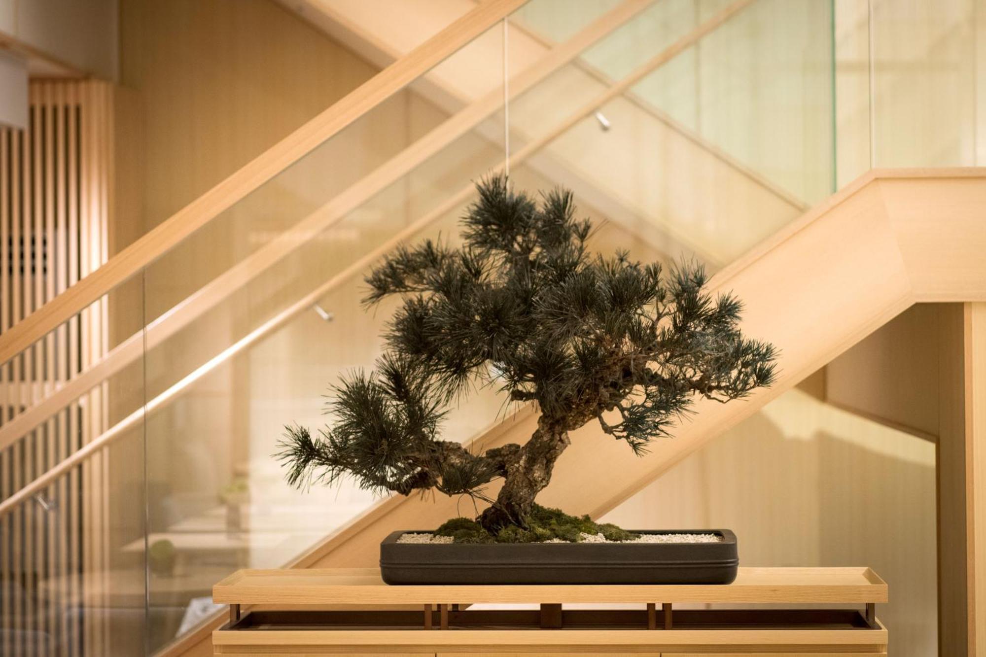 Doubletree By Hilton Kyoto Higashiyama Ξενοδοχείο Εξωτερικό φωτογραφία